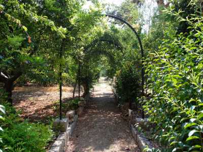 Ci perdiamo nel verde campestre fra rigogliosi sentieri pergolati...